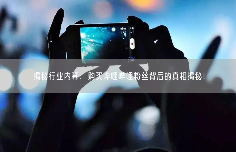 揭秘行业内幕：购买哔哩哔哩粉丝背后的真相揭秘！