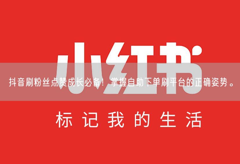 抖音刷粉丝点赞成长必备！掌握自助下单刷平台的正确姿势。