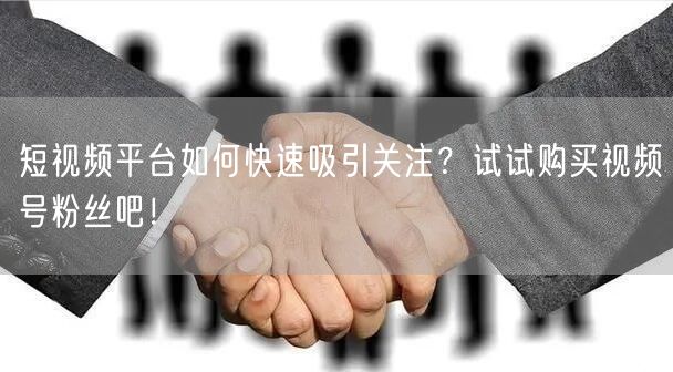 短视频平台如何快速吸引关注？试试购买视频号粉丝吧！