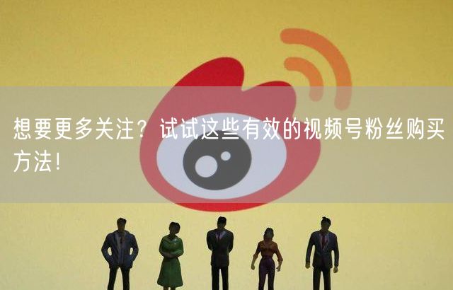 想要更多关注？试试这些有效的视频号粉丝购买方法！