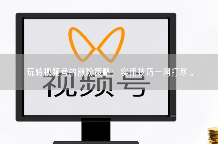 玩转视频号的涨粉策略：实用技巧一网打尽。