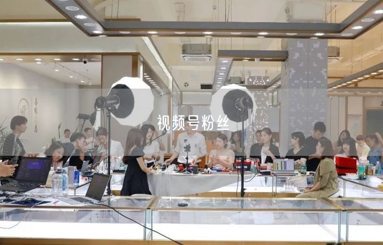 视频号粉丝